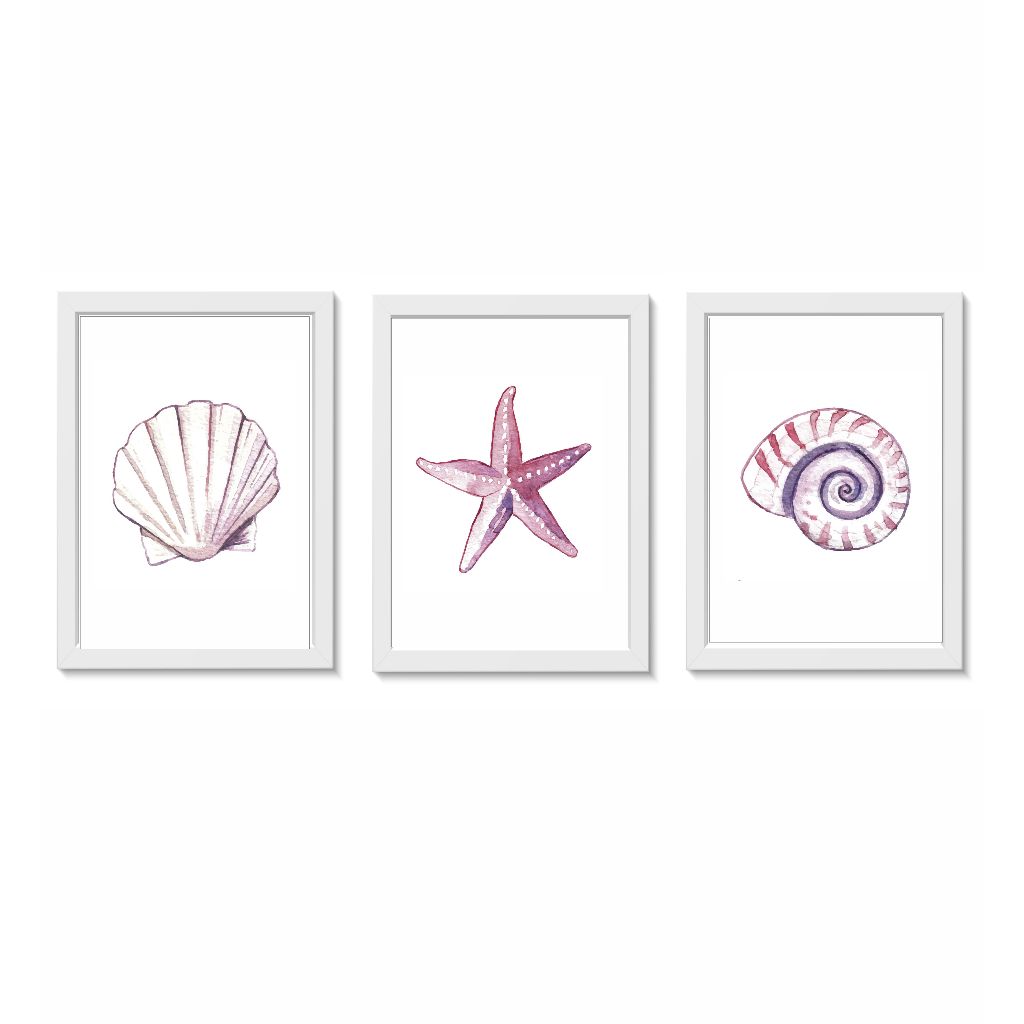 Kit 3 Quadros Decorativos Conchas e Estrela do Mar Decoração Mar Casa Sala Quarto Molduras 20x30cm  Madeira