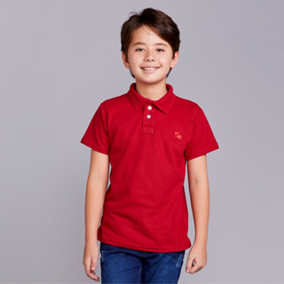 Camisa Polo Infantil Menino Manga Curta Masculina Algodão Piquet em Oferta na Shopee