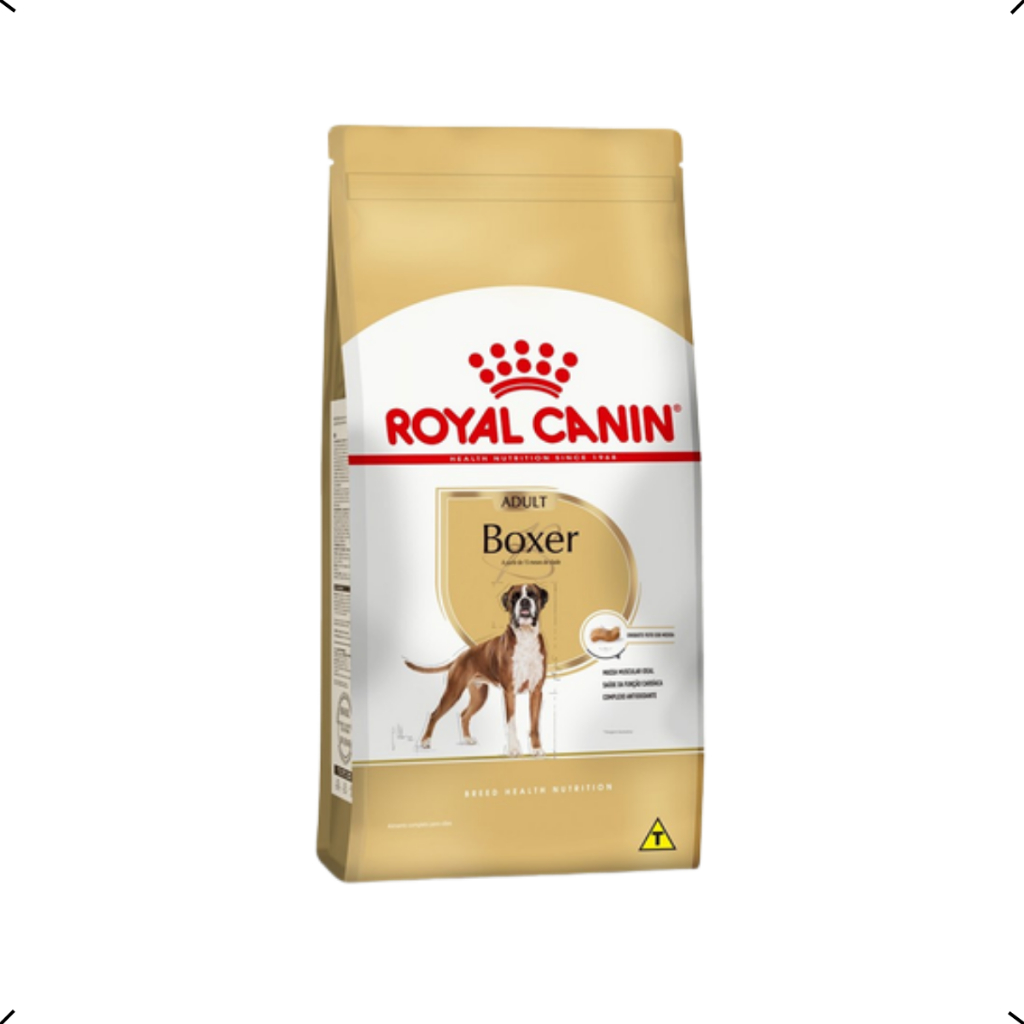 Boxer Dog: Guia Completo e Onde Comprar | BuscaProdutos