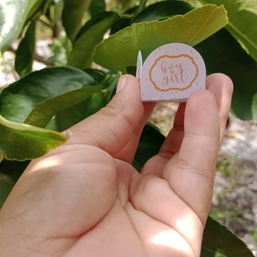 Forminhas para brigadeiro personalizada no tema CHÁ REVELAÇÃO lembrancinha de festa