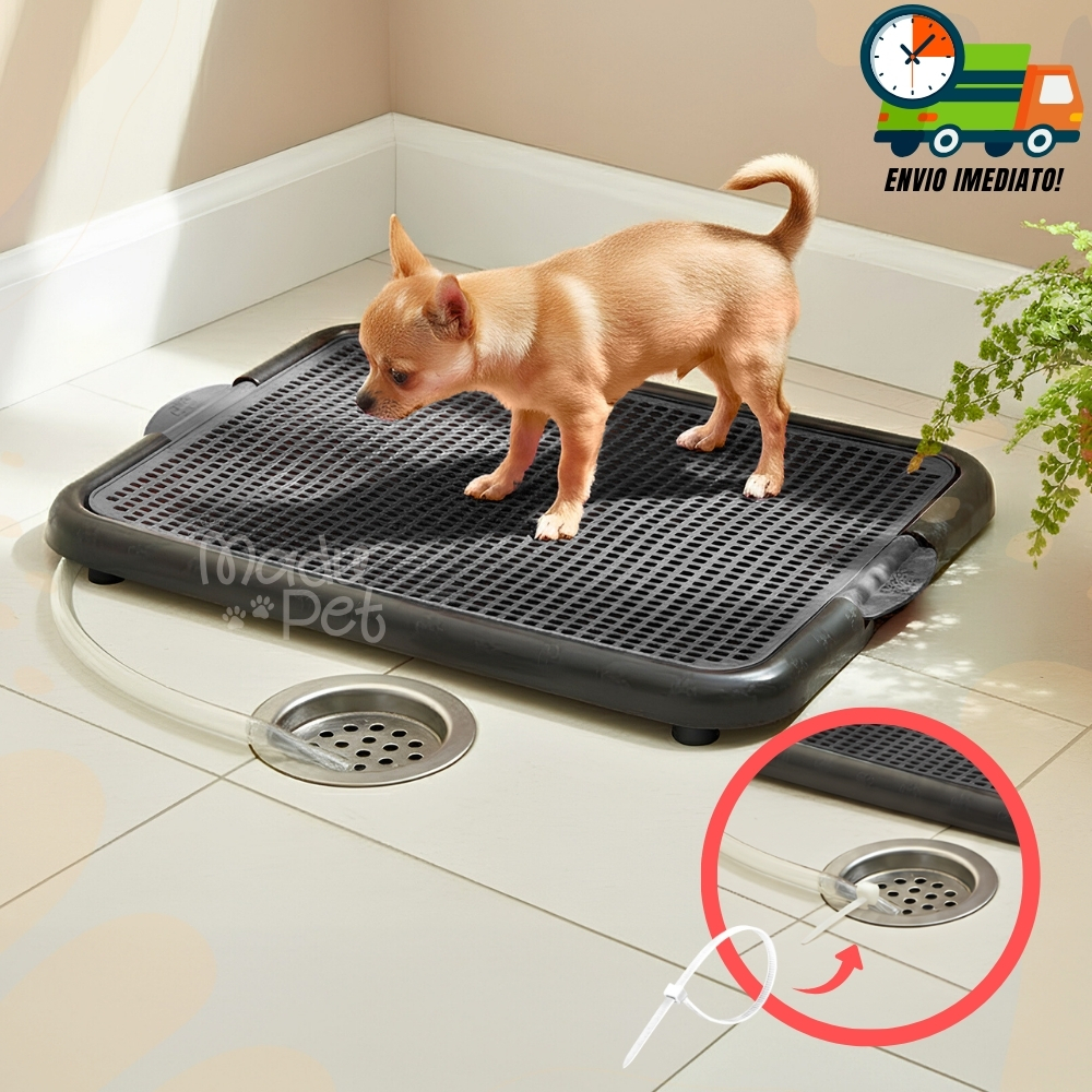 Banheiro Sanitário Com Dreno e Mangueira Lavável Para Cães Tapete Higiênico Promoção Envio Imediato em Oferta na Shopee