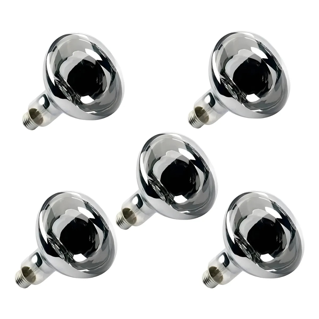 Kit com 5 Lâmpadas de Secagem Infra Vermelho Aviário Aquecimento 250W 220V
