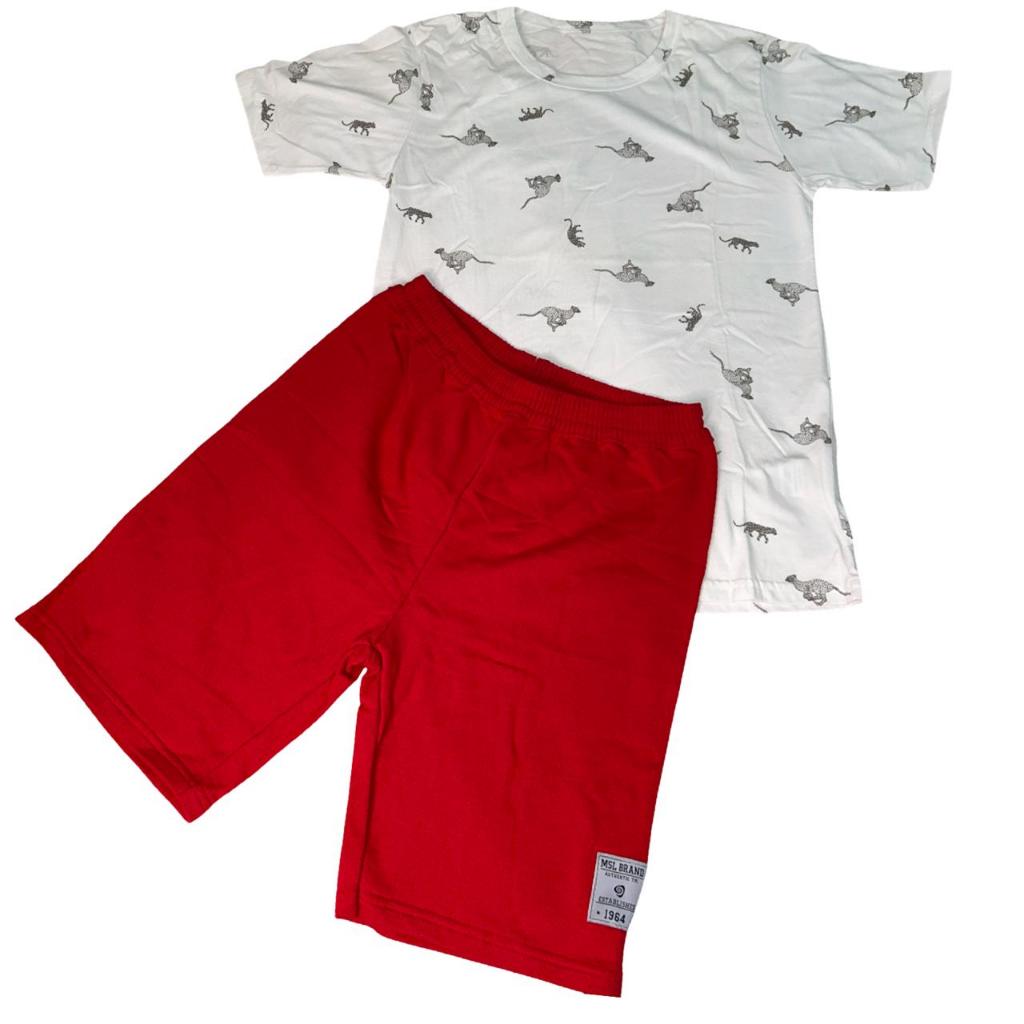 Conjunto  masculino - Juvenil -  camiseta + bermuda -Tamanho: 16 - Marca: Marisol