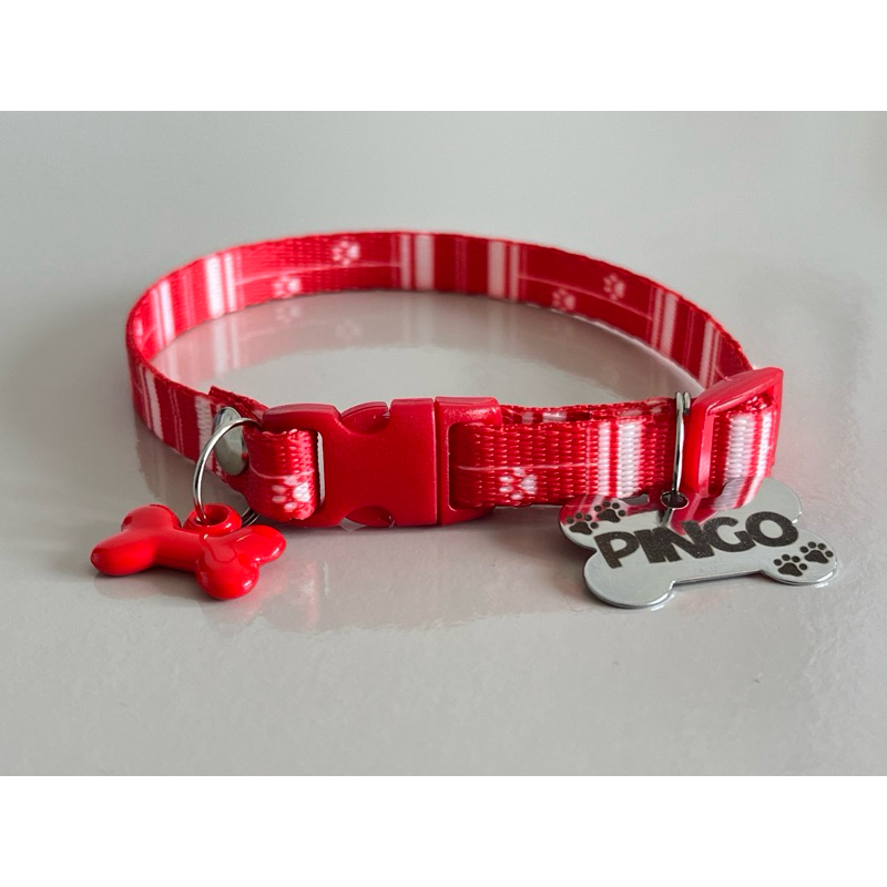 Coleira para pinscher  0, 1, 2  e cachorro mini com plaquinha de identificação