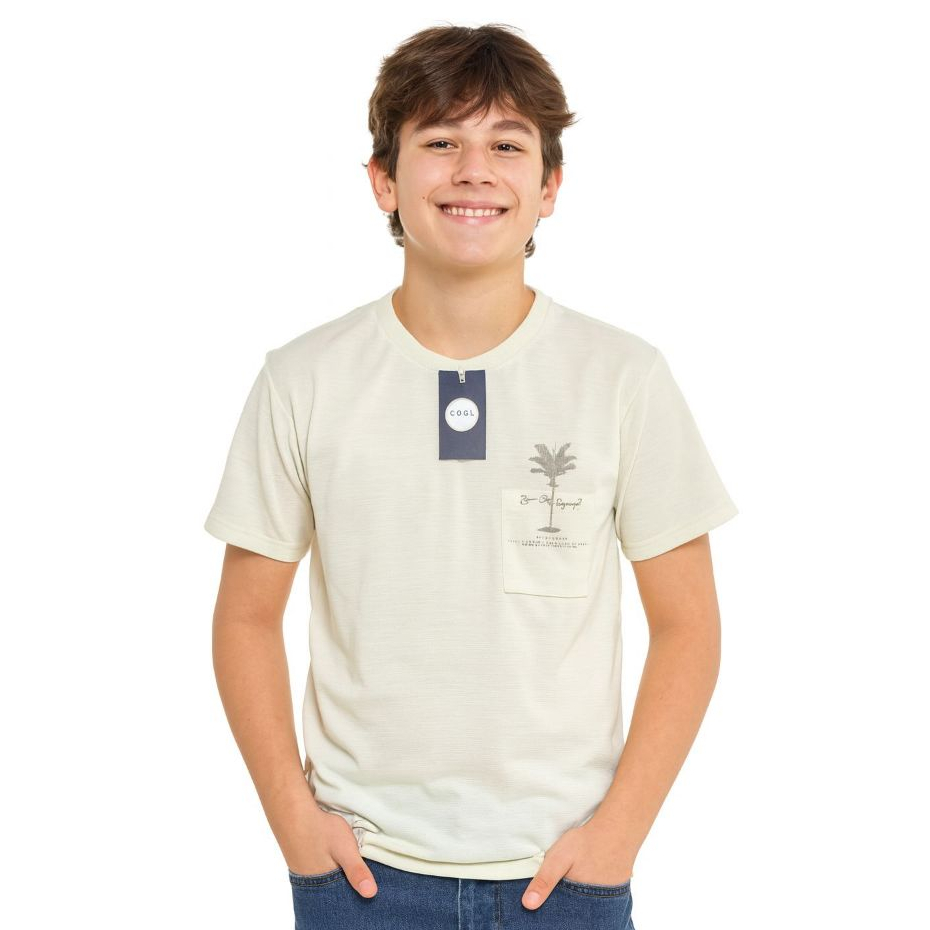 Camiseta Masculina Juvenil Algodão Infantil Menino tam 10 a 16anos camisetas Meninos