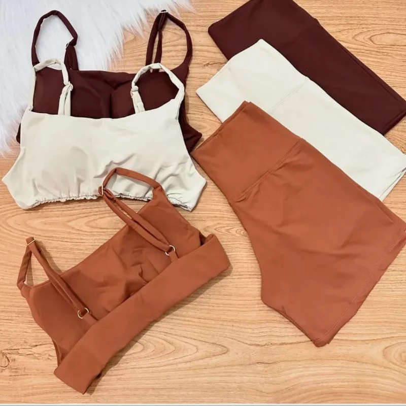 Conjunto Fitness Feminino Compressão e Sustentação Poliamida Premium Treino, Academia e Corrida zero transparencia