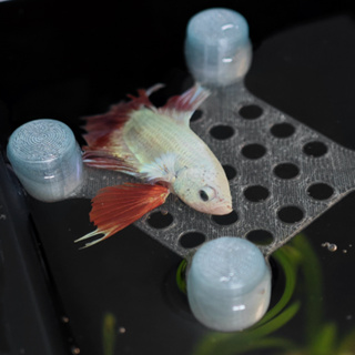 Kit 1 2 3 4 Cama Flutuante para Peixes Pequenos Betta Toca Esconderijo p Aquário Aquarismo Decoração em Oferta na Shopee