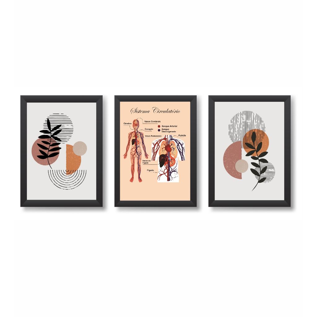 Kit 3 Quadros Decorativos Consultório Médico Sistema Circulatório 20x30cm Moldura Madeira Vidro