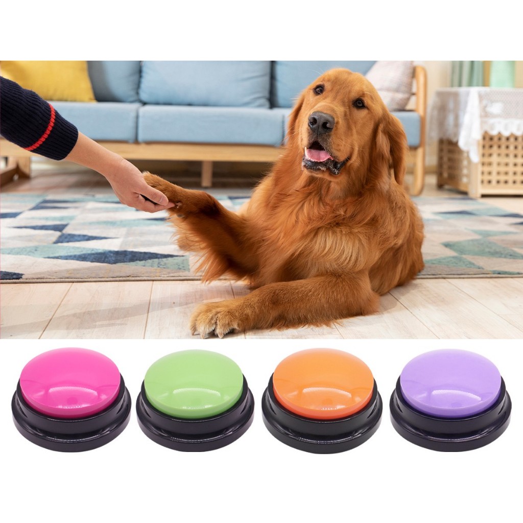 Animais Aleatorios: Onde Comprar | BuscaProdutos