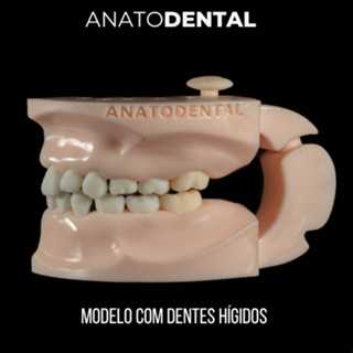 MANEQUIM ODONTOPEDIATRIA | MODELO HEMIARCADA | DENTES CARIADOS E COM PREPAROS | ODONTOLOGIA em Oferta na Shopee