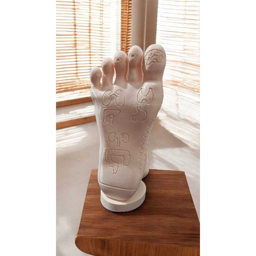 Mapa Reflexologia Podal: Onde Comprar | BuscaProdutos