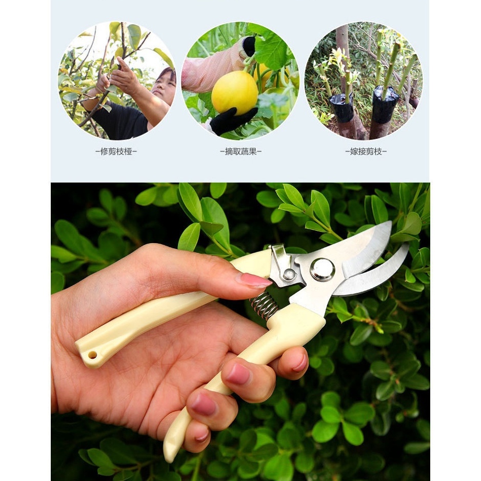 Tesoura de Poda Alicate Jardim Galhos Folhas e Planta em Oferta na Shopee