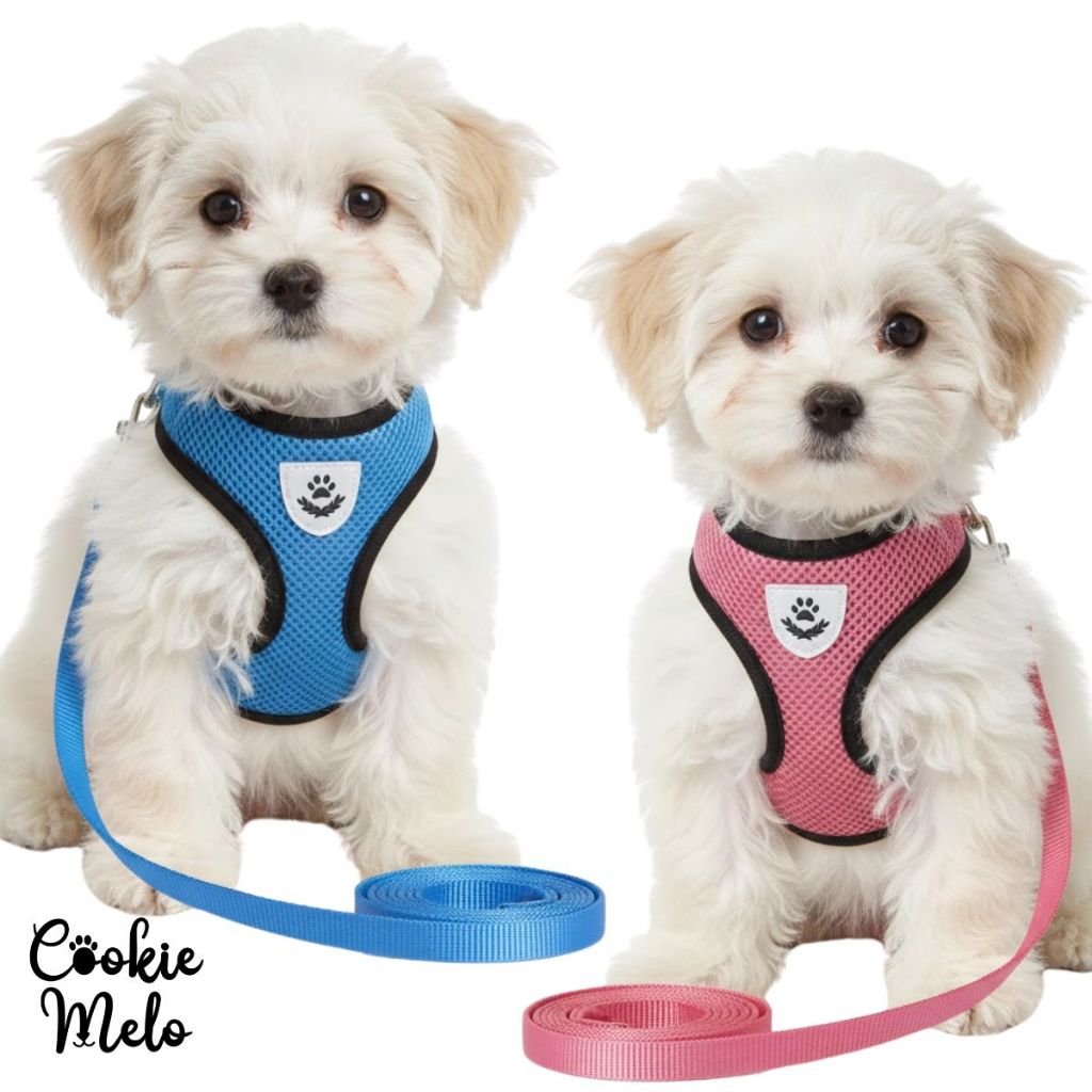 Coleira Peitoral Com Guia Regulável Pet Cachorro Gato Super Confortavel Ajustável em Oferta na Shopee