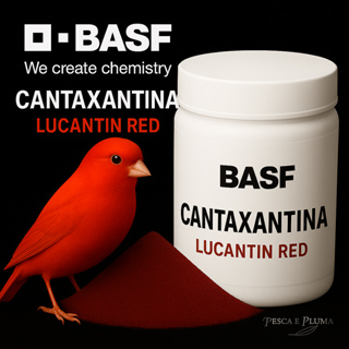 Cantaxantina BASF 100% Pura -Pigmento Importado em Oferta na Shopee