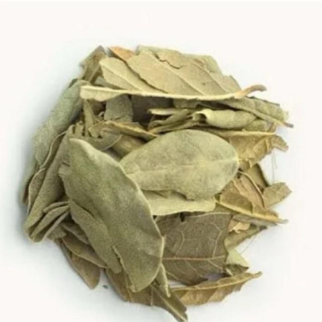 Chá de Boldo do Chile 500g