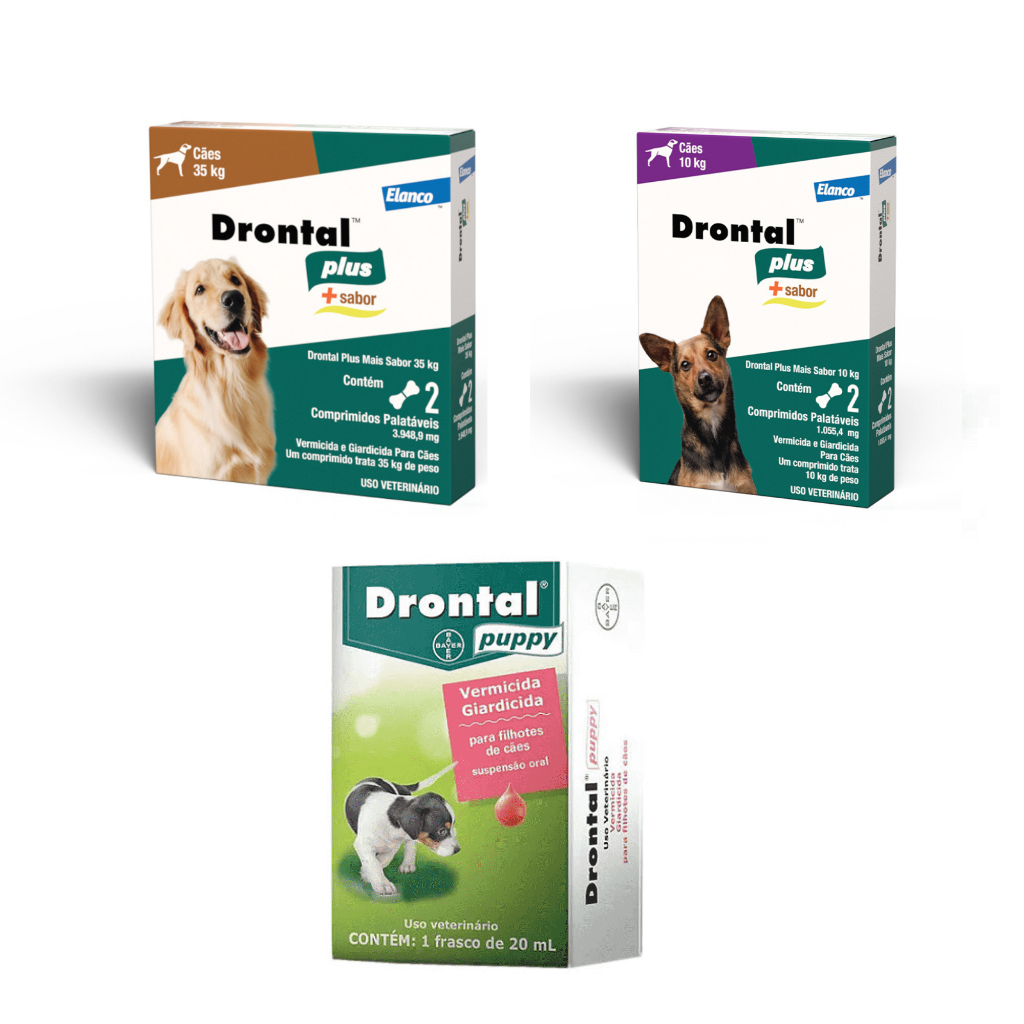 Drontal Caes: Guia Completo e Onde Comprar | BuscaProdutos