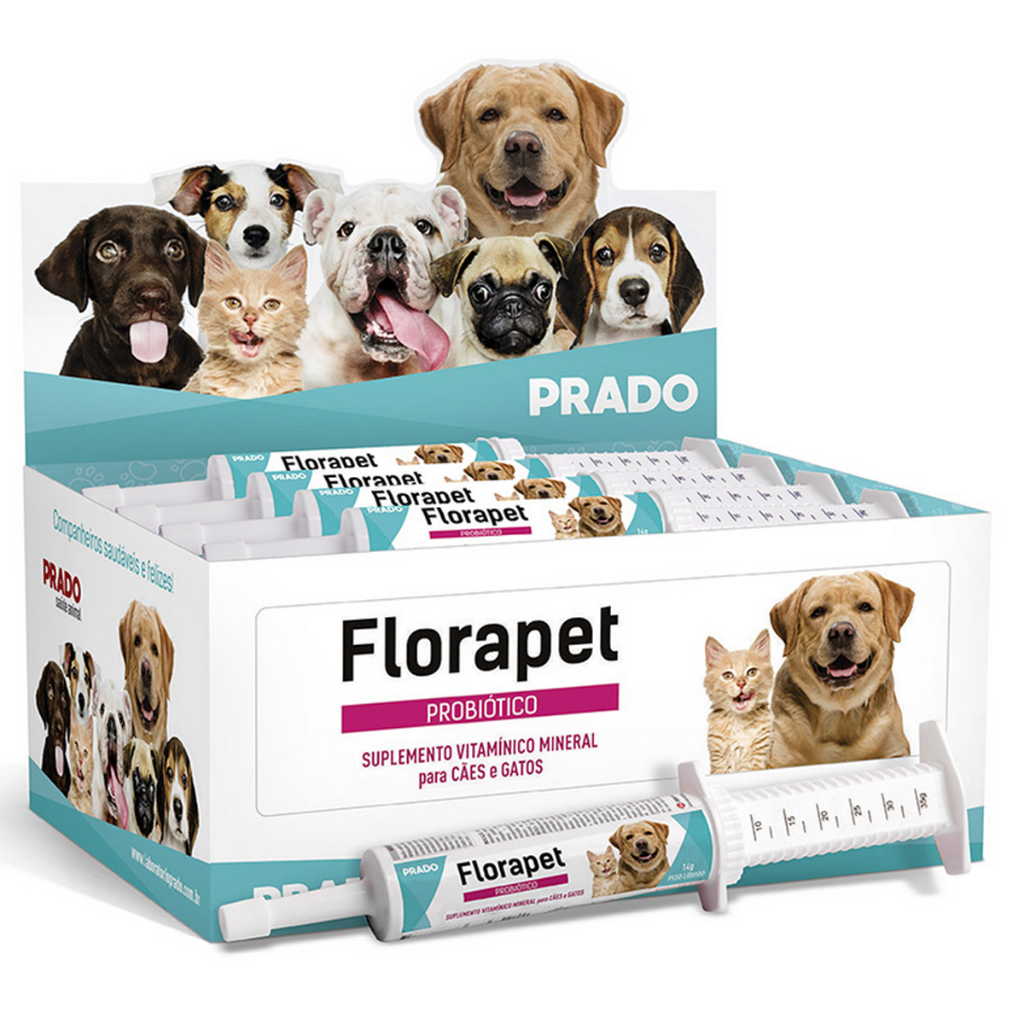 Gatos com Diarreia: Onde Comprar | BuscaProdutos