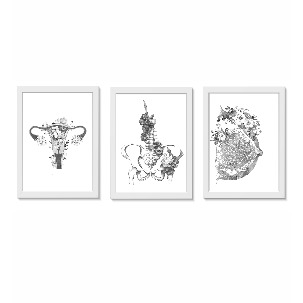 Kit 3 Quadros Decorativos Útero Pelve Mama Ginecologia Medicina Consultório Molduras 20x30cm  Madeira