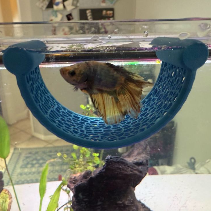 Esconderijo Toca Rede Cama Flutuante para Aquário Ideal para Bettas e Peixes Pequenos Aquarismo Decoração em Oferta na Shopee