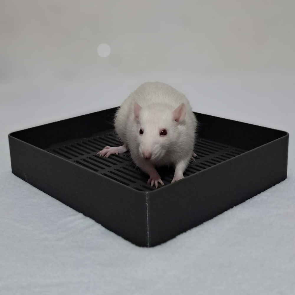 Banheiro para Rato Twister, Chinchila e Hedgehog