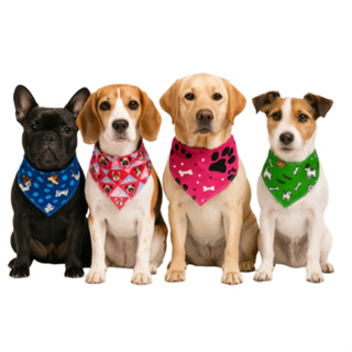 100 Bandanas Pet Shop Banho e Tosa - Atacado em Oferta na Shopee