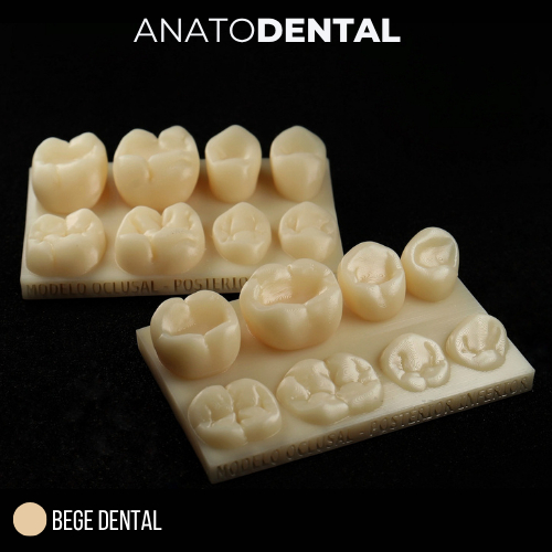 MODELO DE TREINO - POSTERIOR CLASSE I | ANATOMIA OCLUSAL em Oferta na Shopee