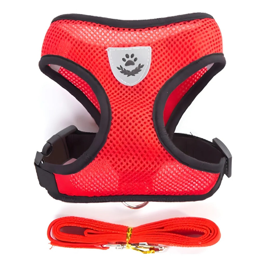 Guia Azul para Cachorro: Onde Comprar | BuscaProdutos