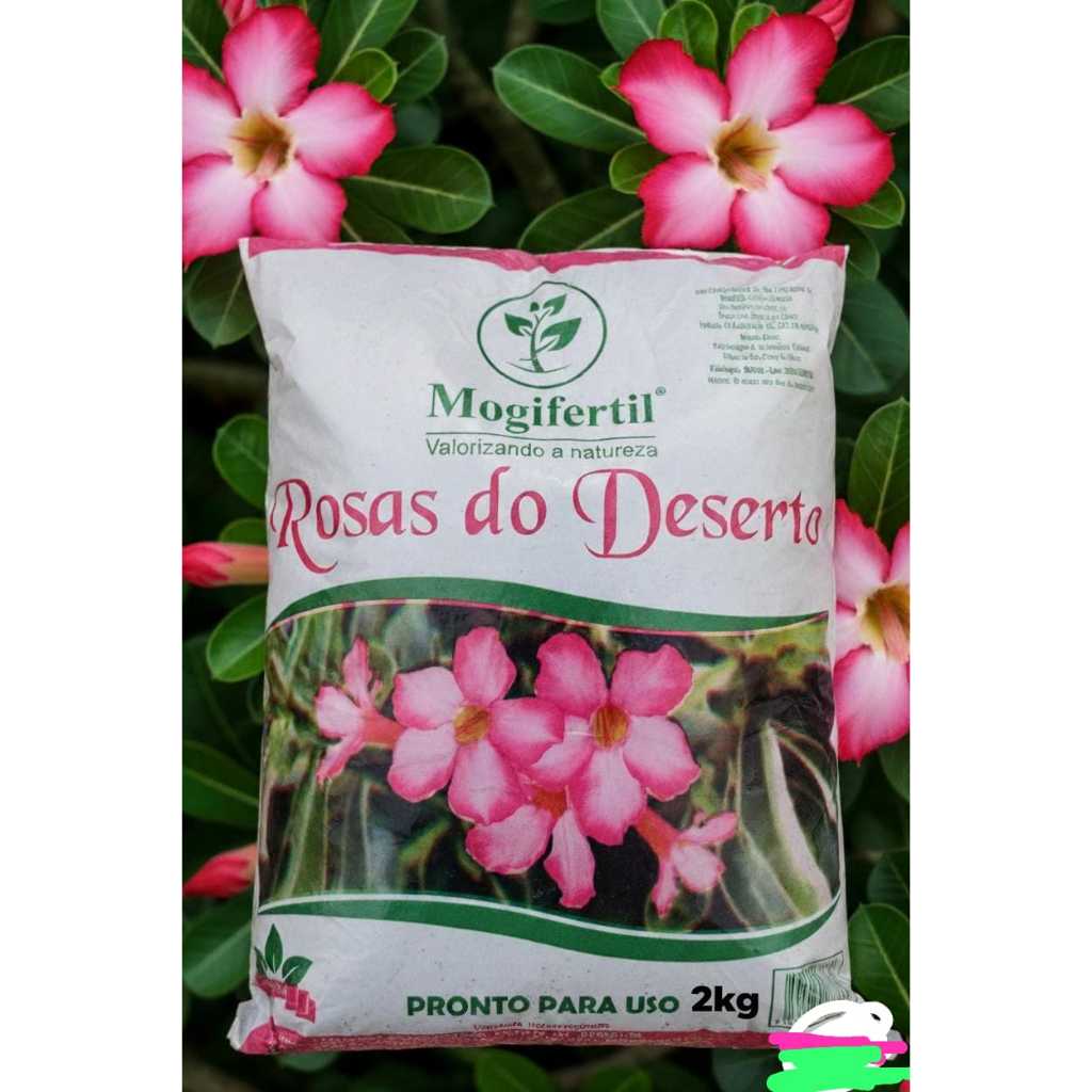 2 kg Substrosas Do Deserto adubo composto Orgânico Jardim Casa Plantio Germinação Mogifertil