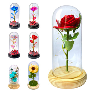 Luminária Cúpula A Bela E A Fera O Pequeno Príncipe Rosa Encantada Rosas Coloridas com  LED em Oferta na Shopee