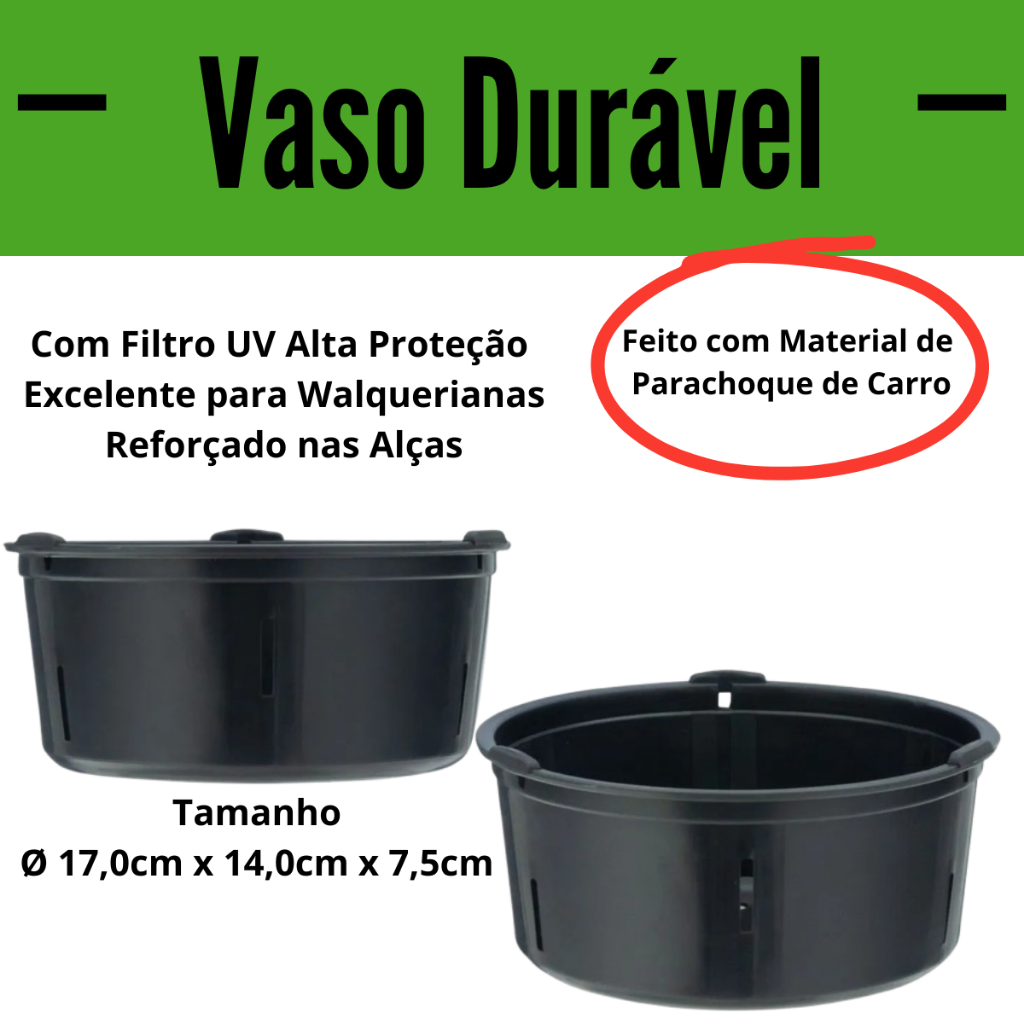 Vaso Orquídea Walqueriana Vasado Cattleya Filtro UV Planta Pote Plantio Plástico