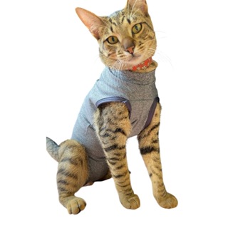 Castração e Cirurgia de Felinos Roupa Macacão pós Cirúrgico em Oferta na Shopee