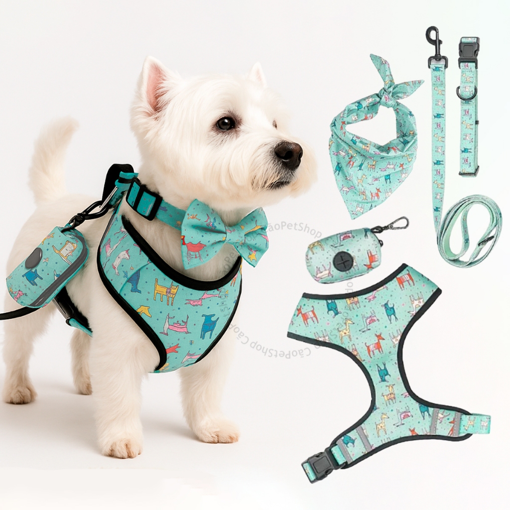 Coleira Peitoral Estojo Cata Caca Com Guia Para Cachorro Pet Pequenos Médios Colete Confortável