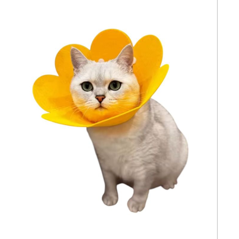 Colar Elizabetano Formato Flor Ajustável Anti-Lambida e Anti-Mordida Segurança Pet