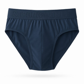 Kit Cuecas Tradicional Slip Adulto P ao GG Microfibra Conforto Para Homens e Meninos