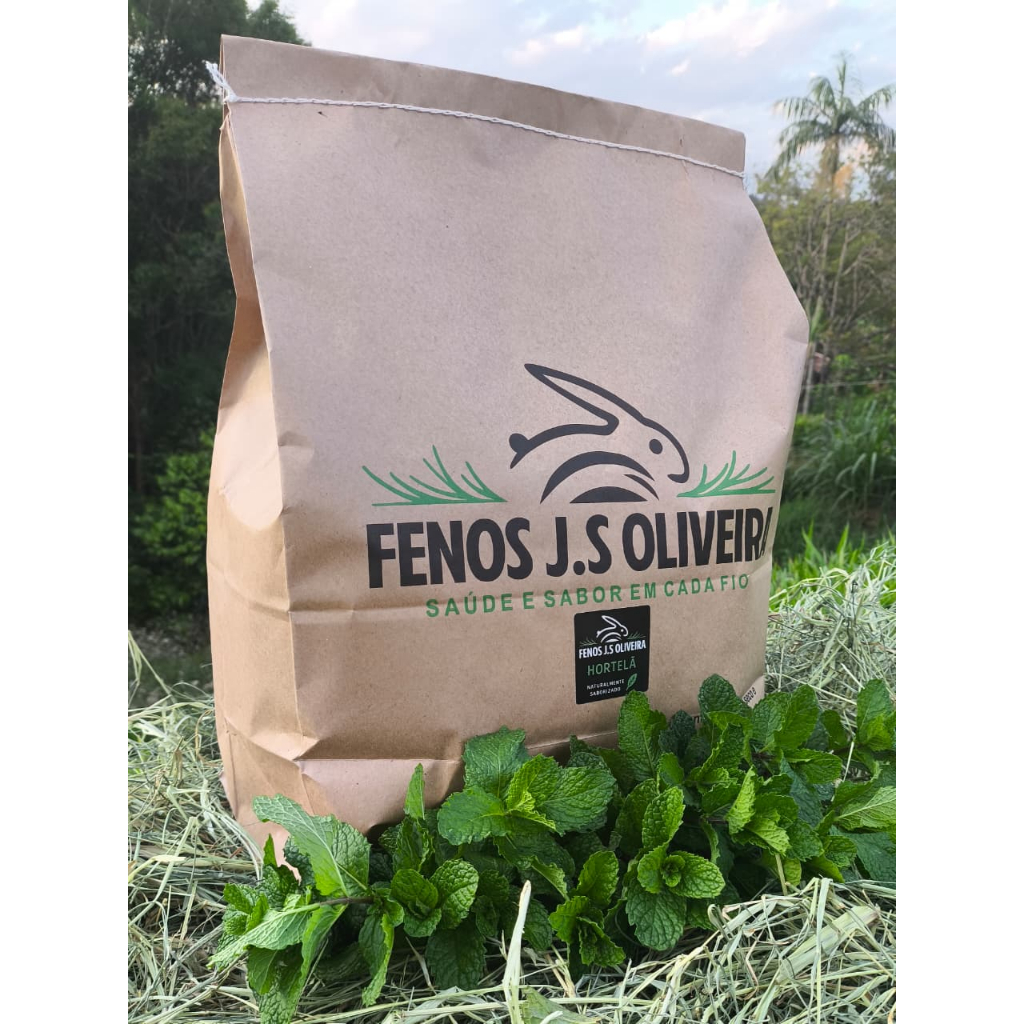 Feno Premium Saborizado com Hortelã 500g, para Coelhos, Porquinhos-da-Índia e Roedores – Natural e Aromático em Oferta na Shopee