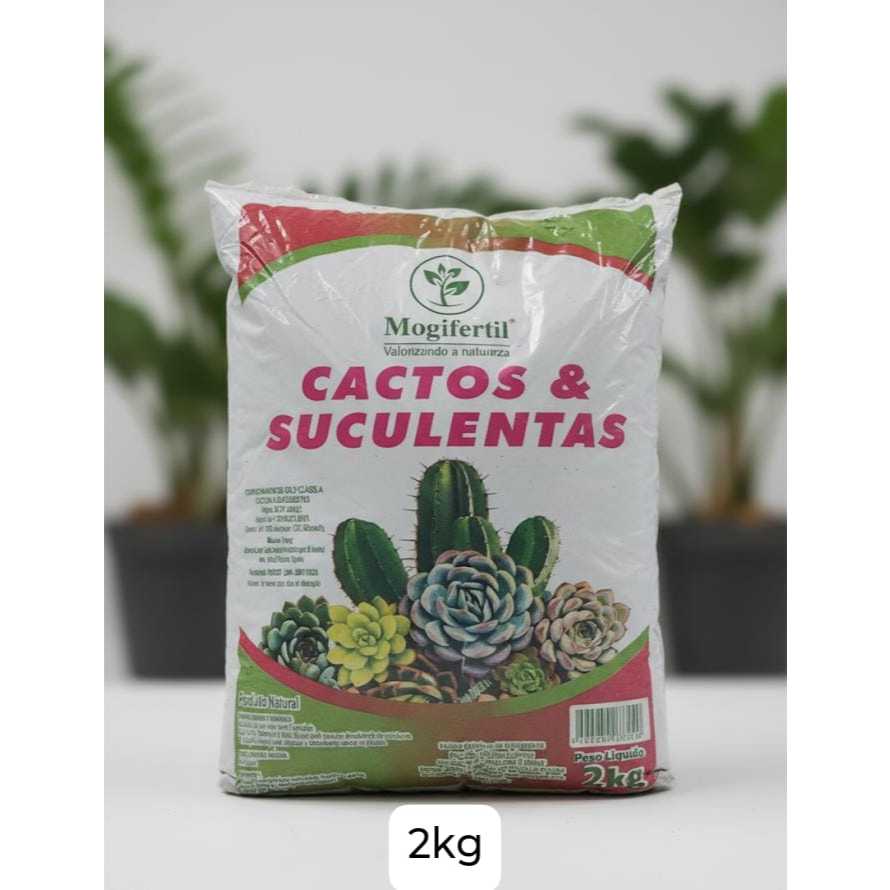 2kg Substrato Terra Especial Para Cactos E Suculentas