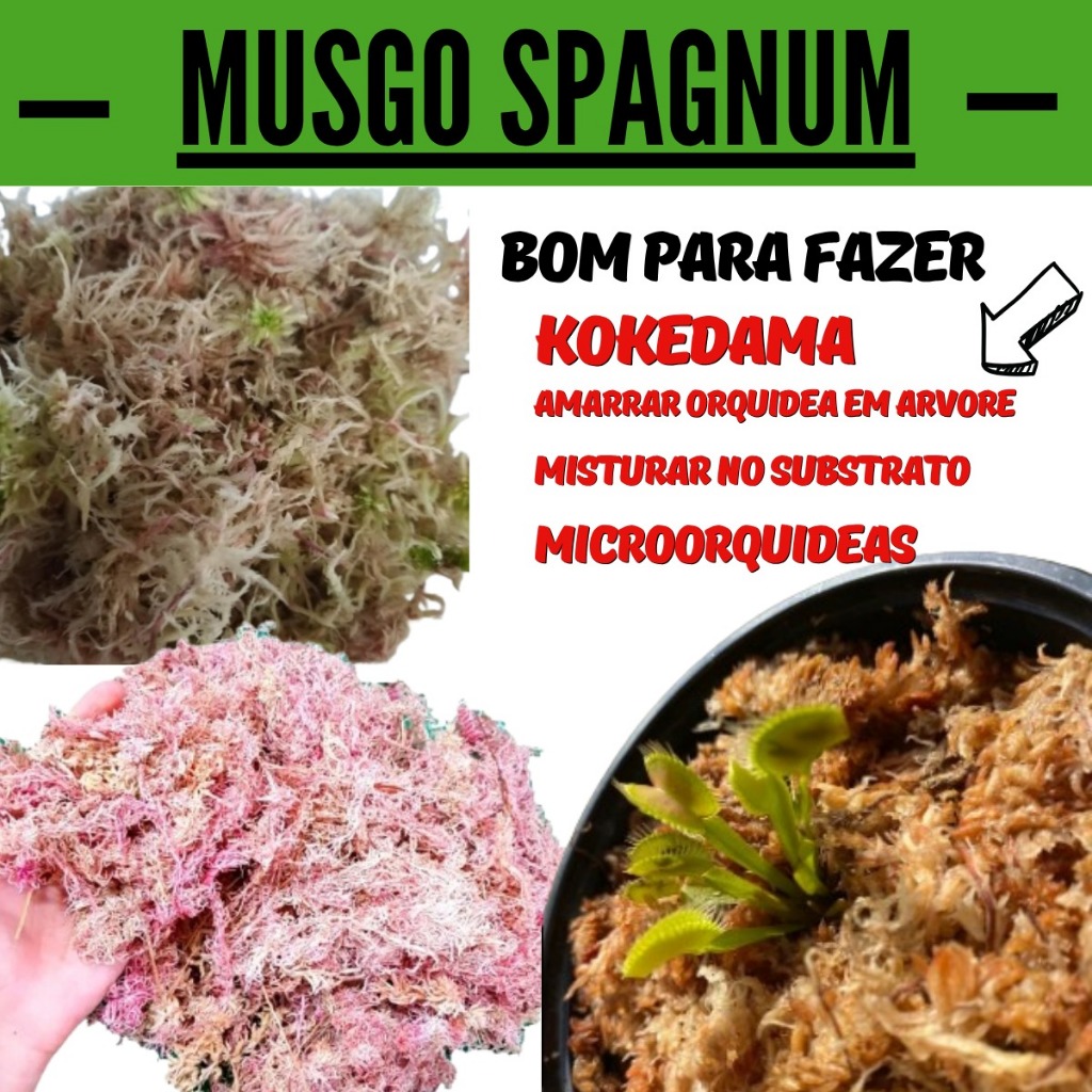 Musgo Spagnum 150g Natural Seco Orquídeas Plantas Carnívoras, Suculentas Kokedama Terrário Substrato