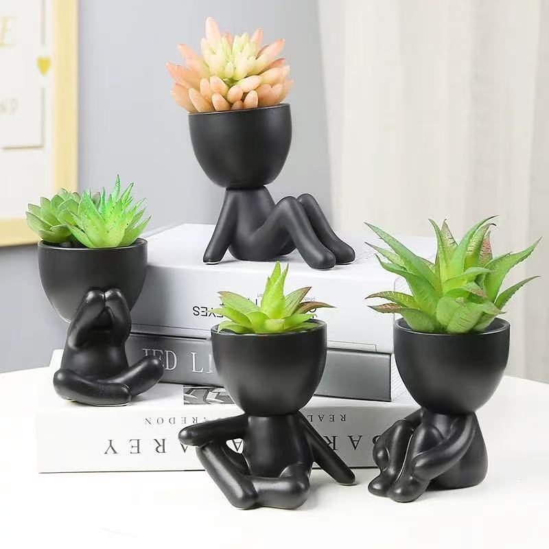 Vasinhos Suculentas Robert Bob Planta Decoração em Oferta na Shopee