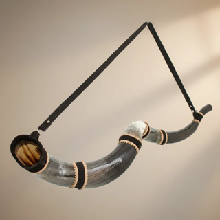 Berrante Profissional De 5 Chifres em Oferta na Shopee