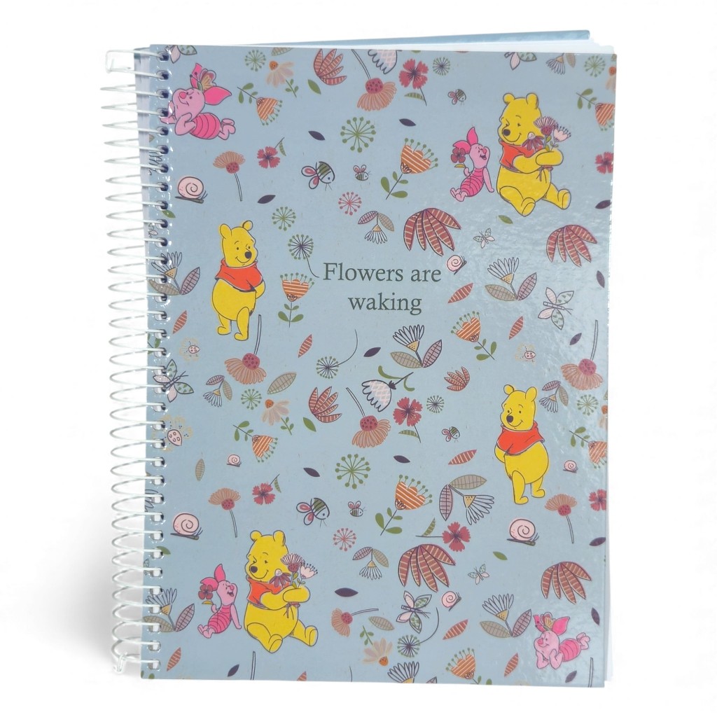 Caderno Grande Universitário Escolar Capa Dura 10 Matérias Stitch Angel Marrie Pooh Mickey Minnie Disney 160 Folhas