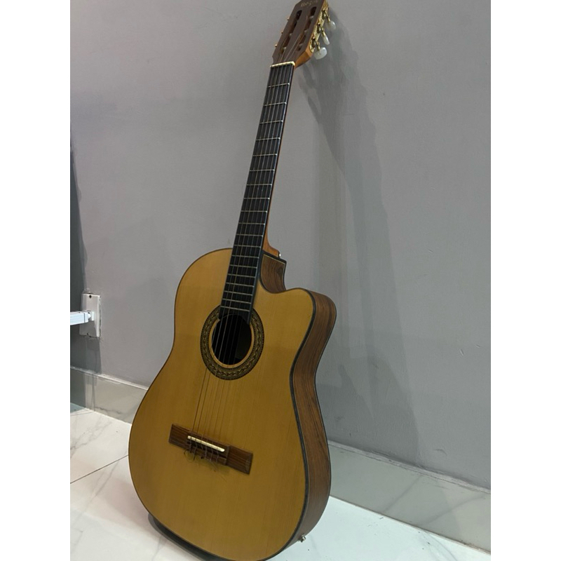 Violão Rozini P.Brasil Flat Nylon