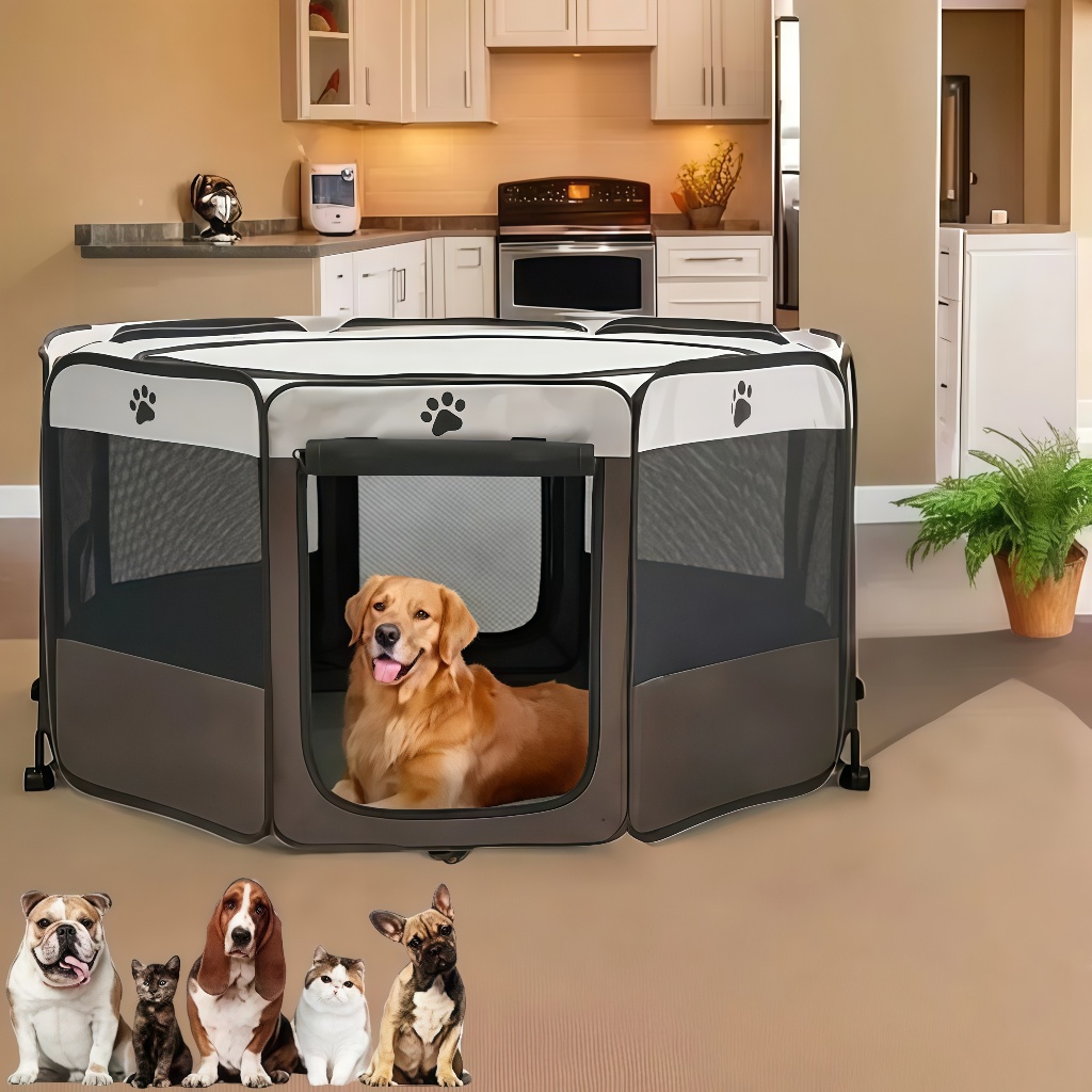 Casinha Barraca: Onde Comprar | BuscaProdutos