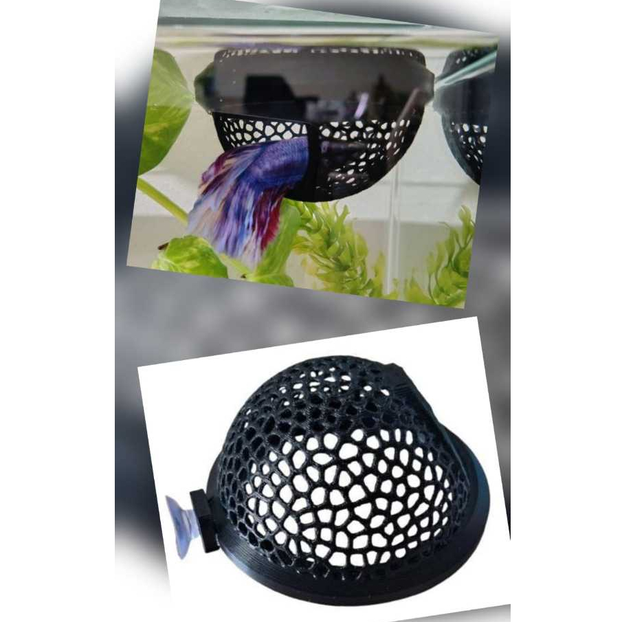 Esconderijo Flutuante para Aquário – Ideal para Bettas e Peixes Pequenos COM VENTOSA em Oferta na Shopee