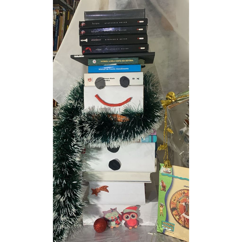LOTE DE LIVROS BONECO DE NEVE / PARA MONTAR SEU BONECO FEITO DE LIVROS USADOS E ALEATORIOS