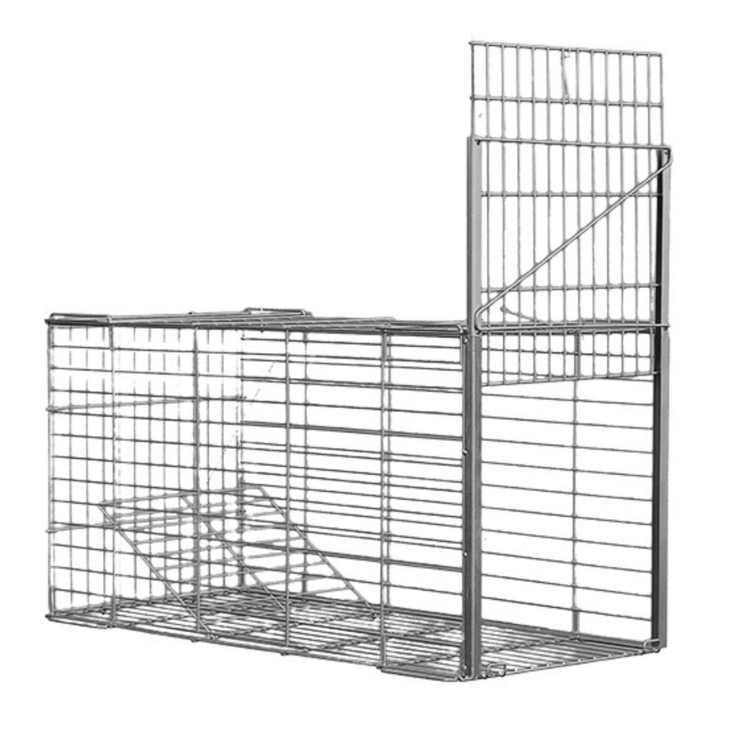 Armadilha Dobrável Gatoeira Pegar Gatos Sarue Lebre Coelho e Gambá P014G em Oferta na Shopee