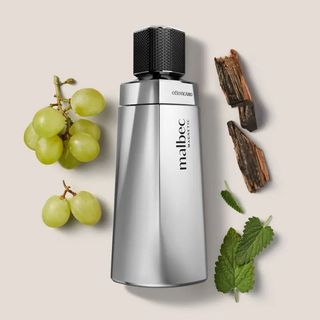 Malbec Magnetic Masc: O Perfume que Desperta o Seu Poder Irresistível de Atração.