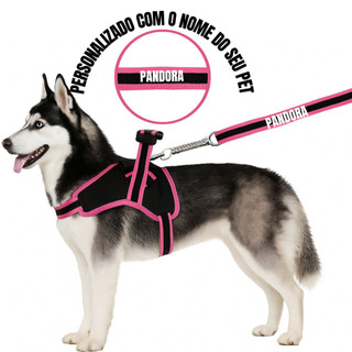 Coleira e Guia para cachorro nome personalizado Peitoral pequeno médio grande porte super…