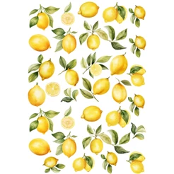 Decalques Porcelana Forno Caseiro - Limão Siciliano Mix