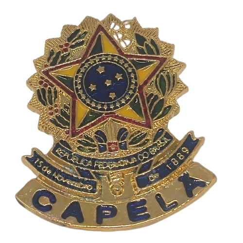 Juiz de Paz: Guia Completo e Onde Comprar | BuscaProdutos