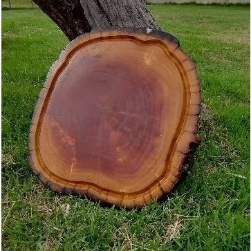 tábua madeira maciça rústica churrasco frios legumes cortes acabamento fino